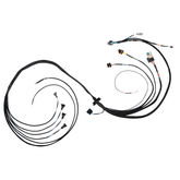 FuelTech FT550 4 Cylinder Universal B Expansion Harness